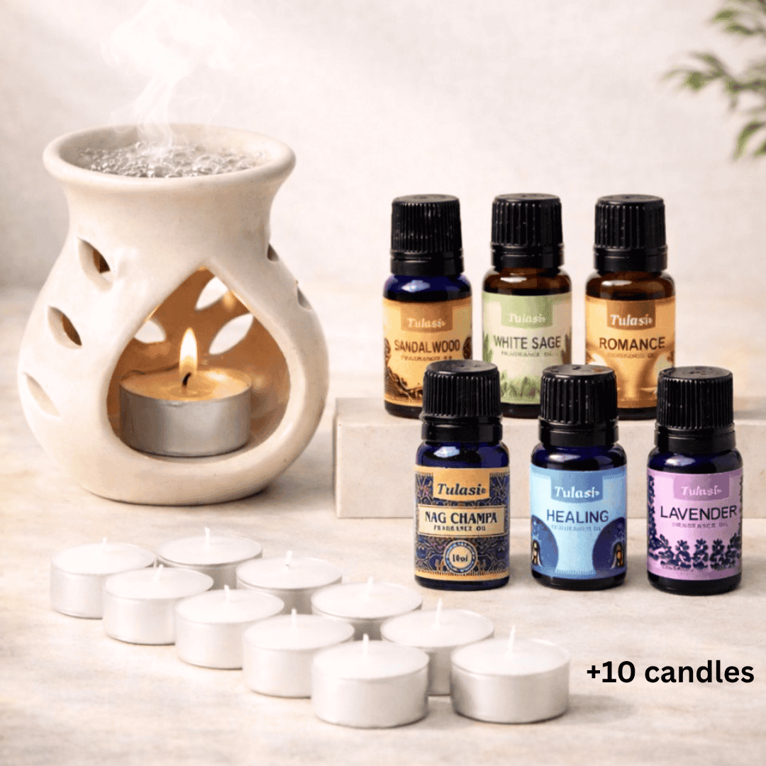 Cove oil diffuser + 6 bestseller oils