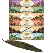 Leaf + 6 Bestsellers