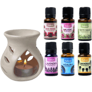 Cove oil diffuser + 6 bestseller oils