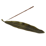 Leaf
