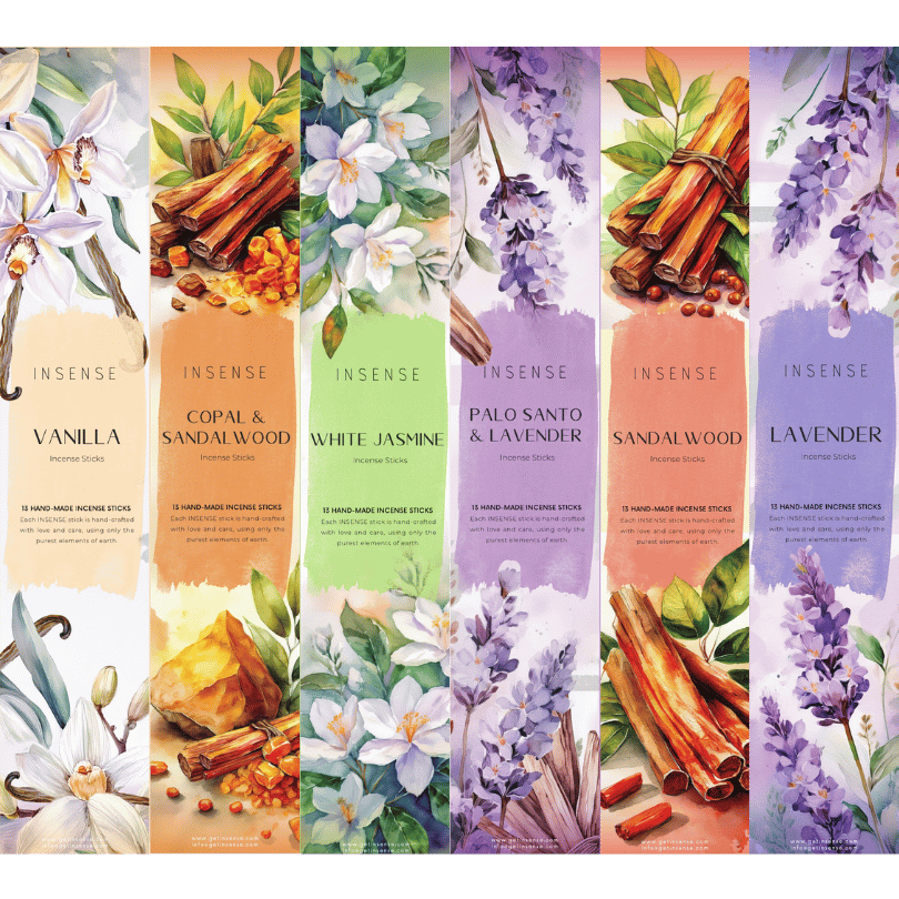 6 top bestsellers collection