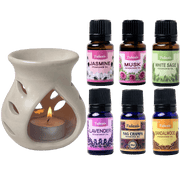 Cove + 6 bestseller oils
